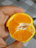 壹棵弘芯正宗现摘丑八怪柑橘子新鲜水果当季酸甜口湖北橘子生鲜整箱 特级5斤大果超值装 净重约为4斤+ 实拍图