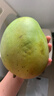 【双十一热卖】玉芒水果芒果新鲜上市 带箱4斤单果200g 实拍图