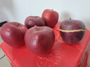 京鲜生 甘肃天水花牛苹果 又大又红 净重10斤 单果200g以上 新鲜水果  实拍图