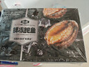 金唐鲜冻鲍鱼净重300g 10粒盒装带壳鲍鱼肉 贝类海鲜生鲜火锅烧食材 实拍图