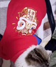 派乐特猫咪衣服拜年服冬季防掉毛新年宠物狗狗小型犬加绒保暖过年圣诞S 实拍图