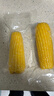 十月稻田 黄糯玉米 3.52斤(220g*8根) 25年新玉米 东北玉米 早餐 低脂粗粮 实拍图