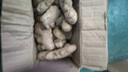 山东新鲜大姜超市生鲜蔬菜老姜即食水果生姜水洗净姜 山东大姜2斤 实拍图