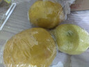 广东香水黄柠檬包邮新鲜水果柠檬精选皮薄奶茶店专用整箱 现货 柠檬带箱1斤单果50g+ 实拍图