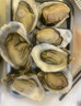 贝司令 鲜活乳山生态生蚝3XL 净重4斤 10-15只 生鲜源头直发 实拍图