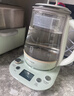 北鼎（Buydeem）【无胶水】养生壶炖煮壶一体煮茶器中药壶煮炖蒸家用炖盅玻璃煮茶壶烧水壶K165浅杉绿 实拍图
