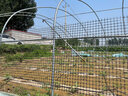 界图 塑料网格防护养殖养鸡围栏网玉米网围栏安全网防护网格护栏围网 1.8米高+3厘米孔+扎带 3.0mm厚(50米/卷)【养鸡养鸭】 实拍图