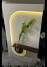 玄关挂画正对入户门装饰画绿植水培立体砂岩壁画LED灯光餐厅挂画A 奶白咖啡色 底板尺寸70-120 手工砂岩+水培玻璃瓶+仿真绿植 不加灯款 实拍图