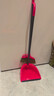 微力达（Vileda）德国鬃毛扫把簸箕套装家用软毛扫帚不沾灰除尘扫地笤帚套装两件套 实拍图