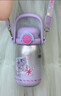格米（germ）小马宝莉儿童保温杯双饮吸管杯女孩大容量杯壶学生杯子580ML紫 实拍图