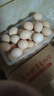 对面小城新鲜初生土鸡蛋鲜鸡蛋农家散养柴鸡蛋 30枚1200g 实拍图