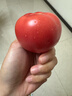 京鲜生陕西沙瓤西红柿 净重4.5斤 单果100g+ 沙瓤番茄源头直发  实拍图