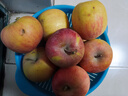 阿克苏苹果新疆阿克苏冰糖心苹果新鲜时令水果礼盒红富士丑苹果 10斤 一级果75-90mm净重8.5-9斤 实拍图