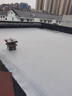雨虹防水 楼顶屋顶防水补漏材料耐高温防晒 防水涂料屋顶防水 耐磨升级款 实拍图