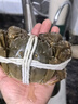 【活蟹】湖鲜阳澄大闸蟹全母3.6-3.9两8只去绳足重现货超大螃蟹水产海鲜送礼生鲜礼盒装 实拍图