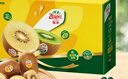 佳沛（zespri）新西兰阳光金奇异果 8个装 特大果单果重约122-146g 水果猕猴桃 实拍图
