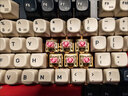 SKN青龙4.0 机械键盘 三模无线键盘 98配列键盘 Gasket结构客制化键盘 ZMK/QMK方案 2U大键0 青龙4.0曜-凯华极地狐轴【核动力键帽】 实拍图