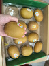 佳沛（zespri）新西兰  阳光金奇异果10粒礼盒巨大果单果约144-175g 水果 猕猴桃 实拍图