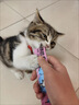 多特思（DOTUS）猫零食猫条混合口味15g*100支0肉粉0诱食剂成幼猫咪鱼油罐头湿粮 实拍图