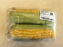 【炖煮季】黄粒甜玉米约800g 实拍图