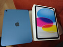 Apple/苹果 iPad11英寸 A16芯片2025年款 平板电脑 (256GB WLAN版/学习办公娱乐)蓝色 实拍图