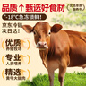 潮味码头 正宗潮汕牛肉丸250g 牛肉含量≥95%纯手打火锅烧烤食材空气炸锅 实拍图