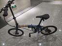 大行折叠自行车 20英寸9速碟刹D9海豚铝合金车架成人运动单车 ECA093 蓝色 晒单实拍图