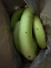 高山香蕉广西产地直发薄皮青果软糯香甜自然熟当季新鲜采摘纯天然 高山香蕉1斤 实拍图