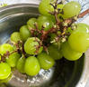 京鲜生 阳光玫瑰葡萄 青提2-2.5斤装 单果约10g 生鲜水果 实拍图