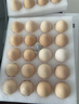 东方甄选谷物鲜鸡蛋/DHA/大码蛋可生食新鲜营养早餐溏心蛋生鲜谷物喂养 40枚 2kg 谷物鲜鸡蛋 实拍图