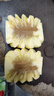 广东徐闻香水菠萝新鲜水果生鲜热带孕妇水果整箱包邮 【限时低价】1个装  单果650g起 实拍图