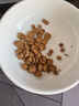 皇家英短成猫粮 BS34 通用粮 12月以上 4.5KG 实拍图
