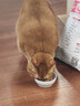 卫仕膳食平衡全价全阶段猫粮10kg 成猫幼猫通用猫粮猫咪食品 实拍图