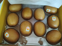 佳沛（zespri）新西兰  阳光金奇异果10粒礼盒巨大果单果约144-175g 水果 猕猴桃 实拍图