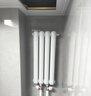 勃森散热器壁挂式家用水暖暖气片客厅卧室全屋定制 钢制60FY1500mm高 实拍图