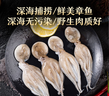 美加佳 三去章鱼仔 净重1斤（12-25枚） 火锅八爪鱼 去牙去脏小章鱼  实拍图
