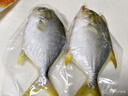环球水产 南海金鲳鱼700g 2条 BAP认证深海鱼 冷冻 鱼类海鲜 家庭聚餐 实拍图