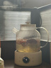 OIDIRE（偶点）全玻璃养生壶 花茶壶无胶水煮茶壶 煮茶器办公室恒温养生壶烧水壶电热水壶炖煮智能保温 1L ODI-HC01花茶养生壶【不带滤网】 实拍图