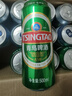 青岛啤酒（TsingTao）爆款组合500ml*12听 经典4听+白啤4听+纯生4听组合装 双十一热卖 实拍图