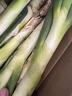 【东东买菜】正宗精品山东铁杆大葱生鲜蔬菜批发绿葱长葱农家现挖 带皮去半叶净重5斤 实拍图
