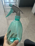 喷壶浇花浇水喷雾器气压式喷水壶家用园艺养花500ml 南瓜喷壶透蓝【1个装】 实拍图