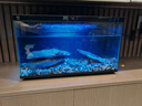 米家（MIJIA）智能生态鱼缸还原自然生态 智能鱼缸+滤芯套装 实拍图