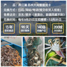 【礼券】燕江澜大闸蟹礼券提货卡蟹券中秋节礼盒礼品卡螃蟹卡券 4988型 公5.0母4.0两 4对8只 实拍图
