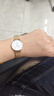 丹尼尔惠灵顿（DanielWellington）DW女士手表欧美简约时尚手表石英商务手表女款圣诞礼物DW219 实拍图