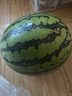 京鲜生 麒麟西瓜 1粒净重7-8斤 生鲜水果源头直发包邮 实拍图