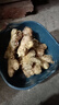 农多鲜 云南小黄姜 新鲜蔬菜现挖现发调味料火锅食材 产地直供 小黄姜净重1斤 云南小黄姜 实拍图