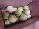 京鲜生 黄金百香果 2斤装 约13-15粒 单果约70g 酸甜钦蜜 新鲜水果 实拍图