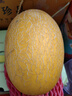 京鲜生 黄金哈密瓜 1粒装 单果3斤起  生鲜水果  实拍图