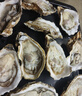 鲜京采 鲜活生蚝3XL 净重5斤 13-18只 鲜活到家 生鲜海鲜 源头直发 实拍图