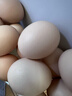 京鲜生【每日鲜蛋】无抗谷物鸡蛋30枚3.78斤 当日产蛋 当日发货 实拍图